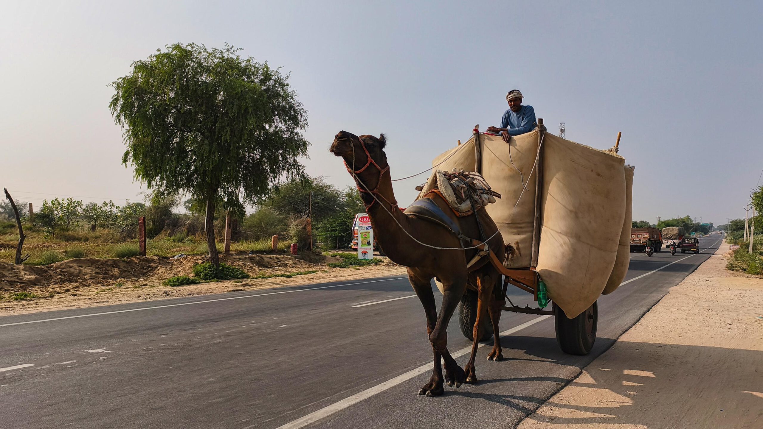 Du betrachtest gerade In 3 Tagen durch Rajasthan – Jain- und Motorrad-Tempel