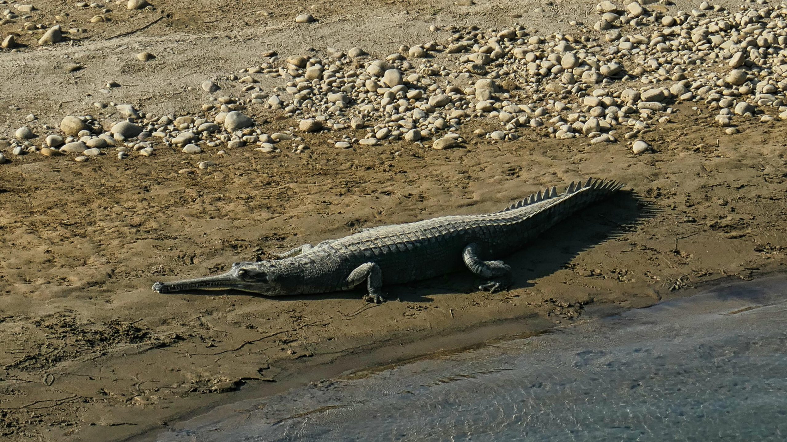 Du betrachtest gerade Nepals Westen