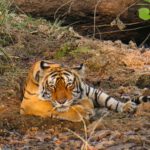 Busrundreise durch Rajasthan – Teil 3/3