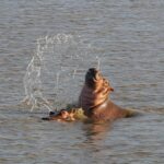 Südafrika – von Eswatini nach Durban