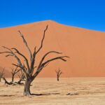 Namibia – Autorundreise 2/4 – Lüderitz nach Swakopmund