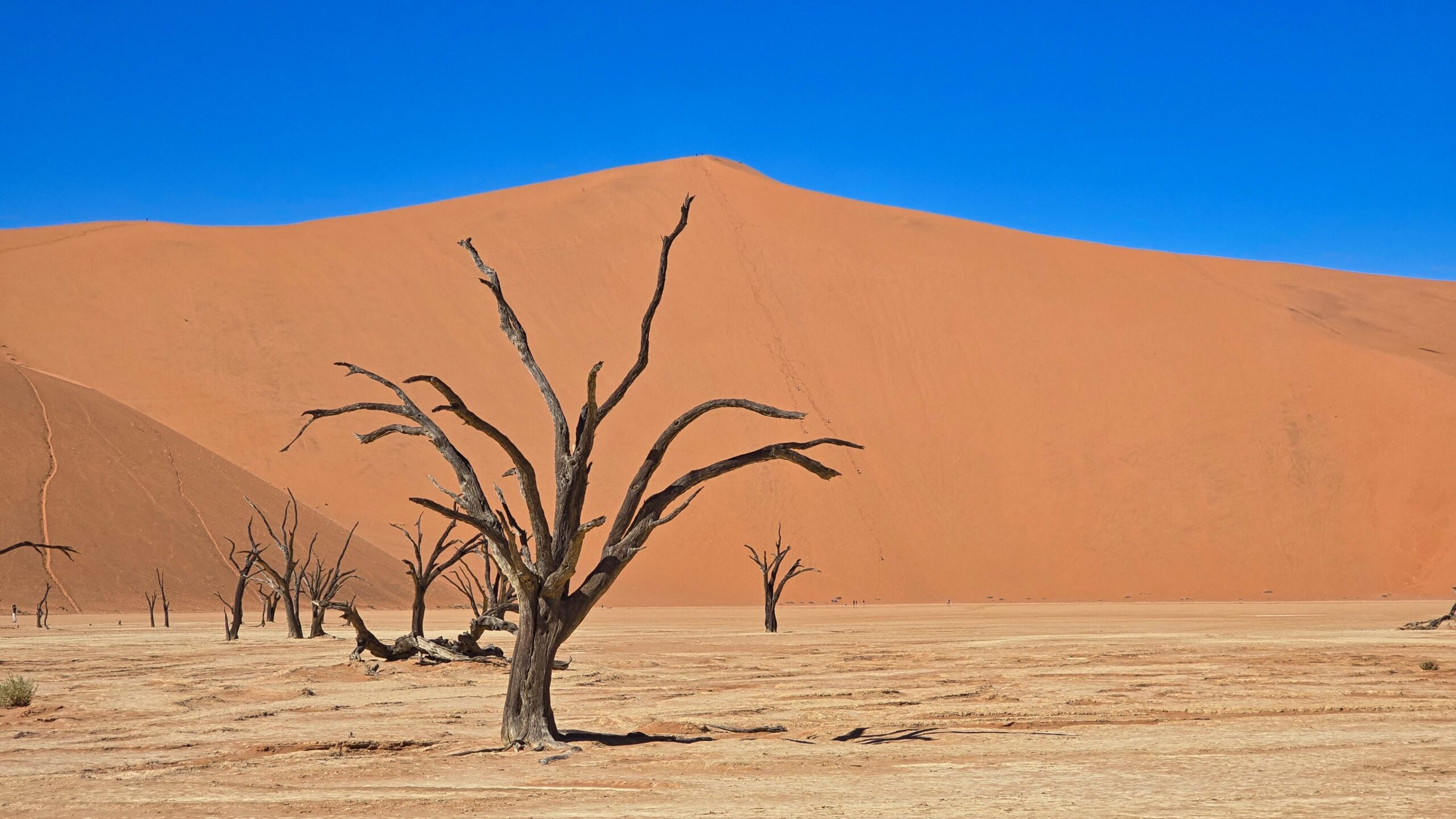 Du betrachtest gerade Namibia – Autorundreise 2/4 – Lüderitz nach Swakopmund