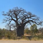 Angola – Von Huambo zur namibischen Grenze